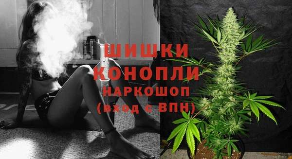 шишки Абинск