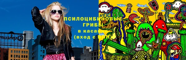 шишки Абинск